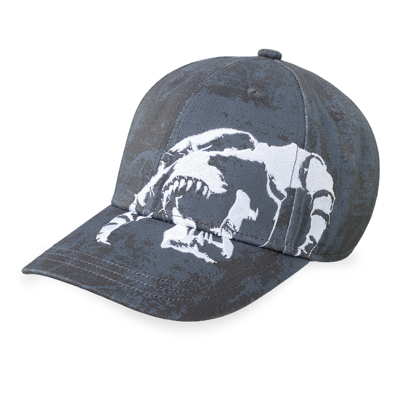 MOH Skull Baseball Cap