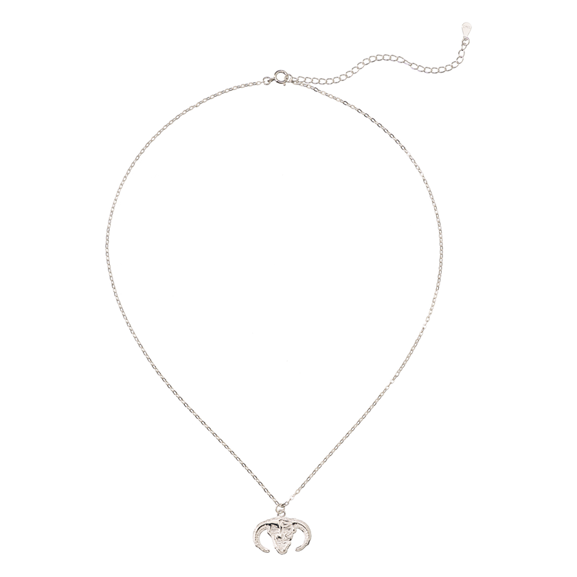 MOH skull necklace silver