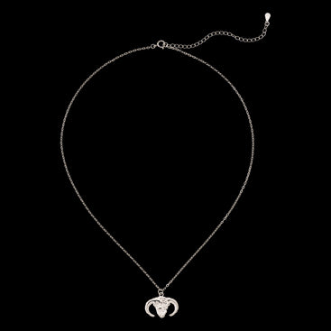 MOH skull necklace silver image